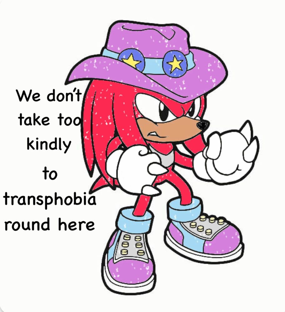 Knuckles from Sonic in a purple cowboy hat saying "we don't take too kindly to transphobia around here"