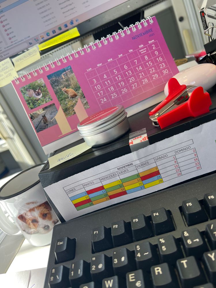 Colaborarás integralmente con la esterilización y retorno de los gatos del pueblín. 🥰