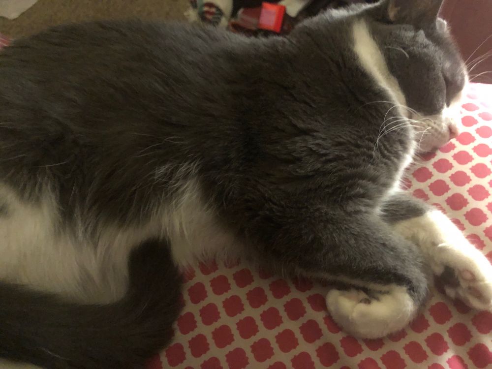 A grey and white cat asleep sideways on the edge of a bed.