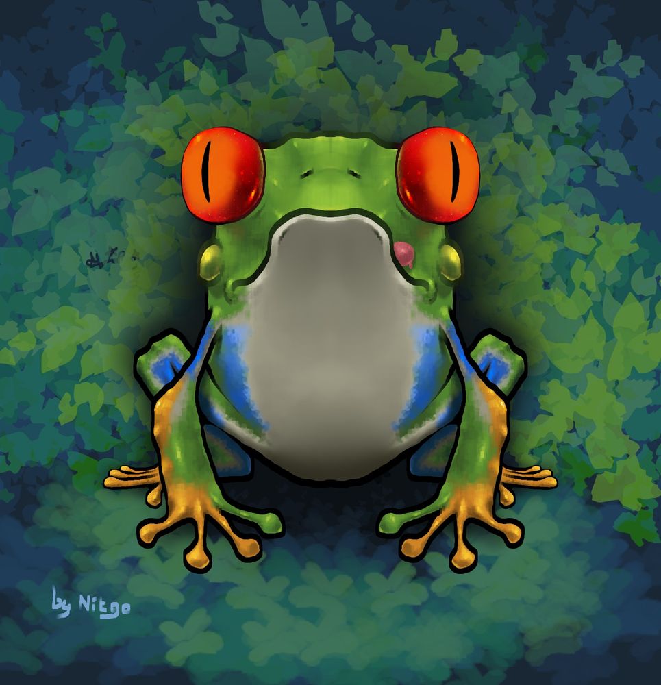 This a drawing of the Red-Eyed Tree Frog of Costa Rica.