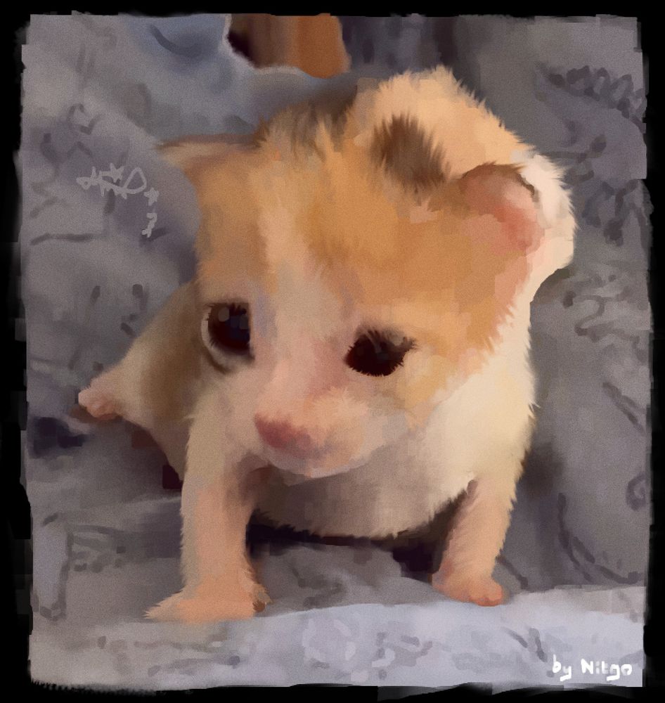 Drew this kitten on Krita using my mouse. #Cat #DigitalDrawing