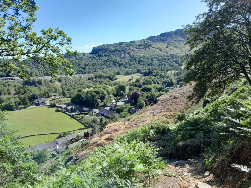 Very steep brackeny, rocky slope heading down to a small road with grey cottages and a green field beyond.