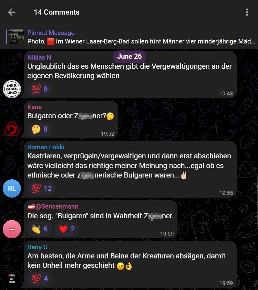 Kommentare unter dem Post auf dem Telegram-Kanal des Rechtsextremisten „Martin Sellner [TELEGRAMELITE]“ vom 26.06.2025 

14 Comments
June 26

Niklas N:
„Unglaublich das es Menschen gibt die Vergewaltigungen an der eigenen Bevölkerung wählen
ENKEL GEGEN LINKS“
19:48

Kane:
„Bulgaren oder Z[3 Buchstaben gepixelt]ner?“
19:52

Roman Lokki:
„Kastrieren, verprügeln/vergewaltigen und dann erst abschieben wäre vielleicht das richtige meiner Meinung nach...egal ob es ethnische oder z[3 Buchstaben gepixelt]inerische Bulgaren waren...“
19:55

@Sensenmann:
„Die sog. "Bulgaren" sind in Wahrheit Z[3 Buchstaben gepixelt]ner.“
19:59

Dany G:
„Am besten, die Arme und Beine der Kreaturen absägen, damit kein Unheil mehr geschieht“
19:59