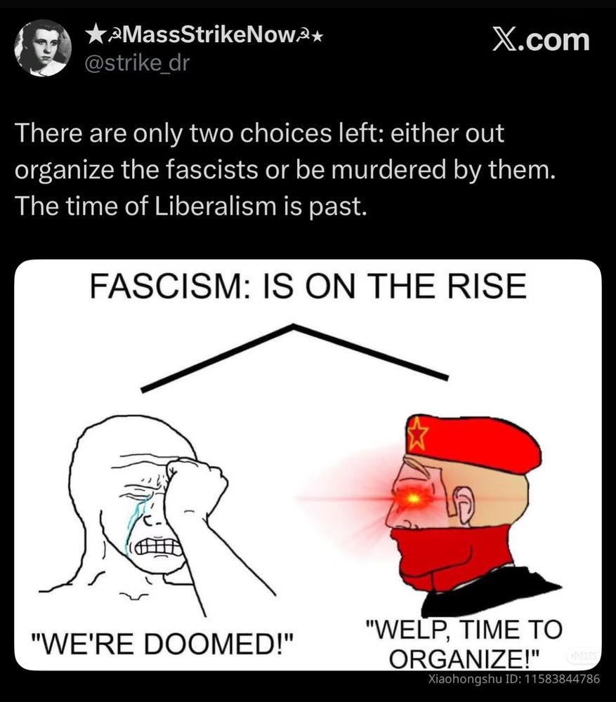 A post from strike Doctor that says there are only 2 choices left, either out organize the fascists or be murdered by them the time of liberalism is past.
