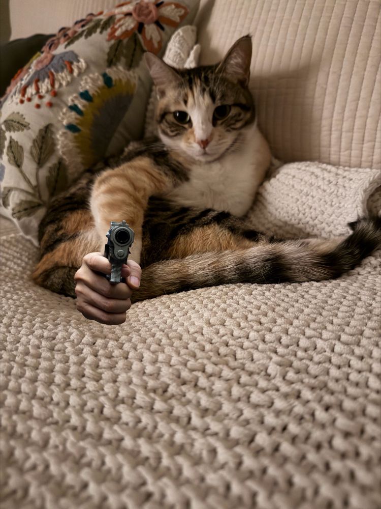 calico tabby cat on a white blanket edited to look like she’s holding a gun
