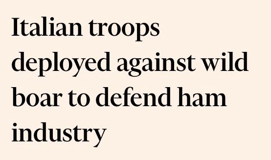 FT headline: Italian troops deployed against wild boar to defend ham industry