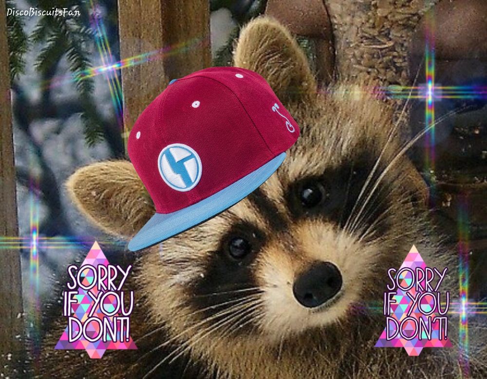 An adorable B4L raccoon 