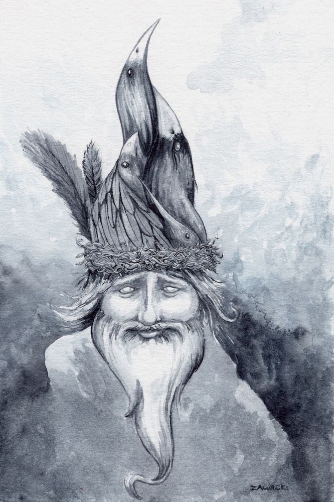 Monochromatic watercolor portrait of a long-bearded gnome. The brim of his hat is nesting material, the rest is feathers and birds looking upwards. 