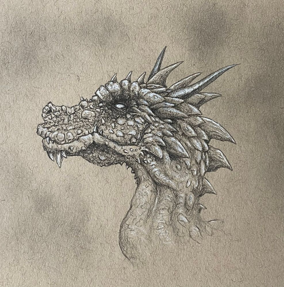 A profile portrait of a dragon, drawn on toned paper. 