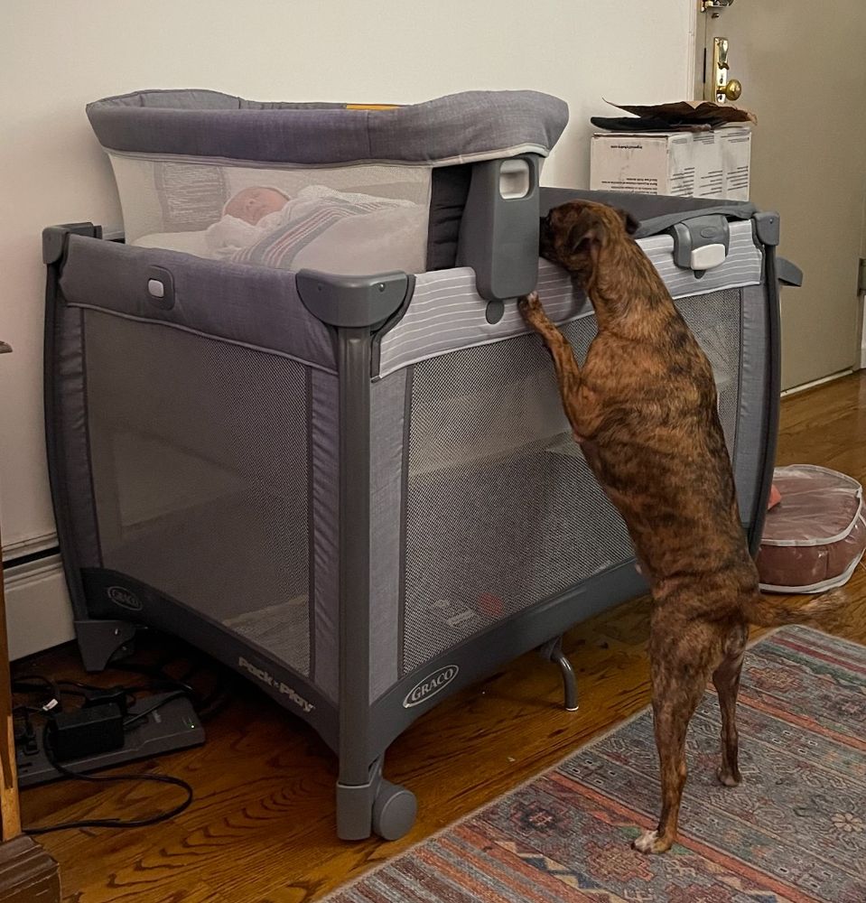 chuck on his hind legs to get a look at the kid in his bassinet