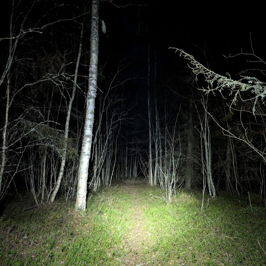 Polku otsalampun valossa.