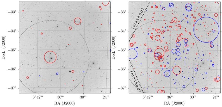Comparison of NVSS (left; Taylor et al., 2009) and POSSUM (right) Band 1 RMs within the Fornax cluster’s virial radius (grey dashed circle), showcasing POSSUM’s transformative capability to probe magnetised gas in clusters, groups, and many other ∼degree-scale extragalactic objects. The background is a Digitized Sky Survey optical image (greyscale). Solid circles indicate the position, magnitude, and sign of RMs measured by each survey, with diameters proportional to (RM)^2 and colours indicating RM sign (red for positive, blue for negative). While only a few clusters or groups contain >∼ 10 NVSS RMs at sub-virial radii, POSSUM’s RM grid will sample thousands of these systems, including over a dozen with 100 or more RMs.