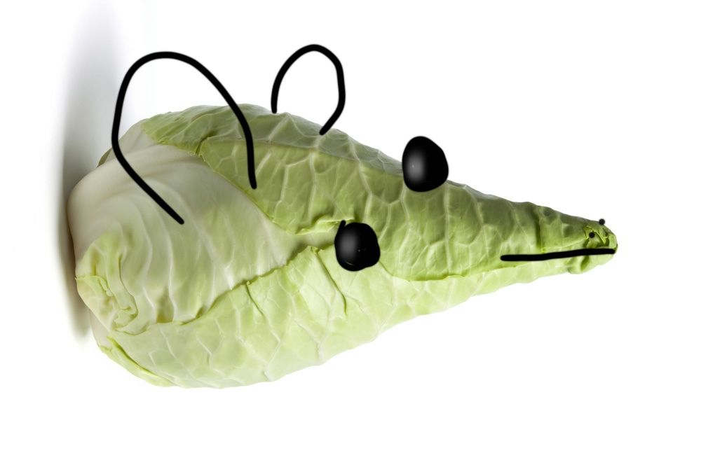 Comment image