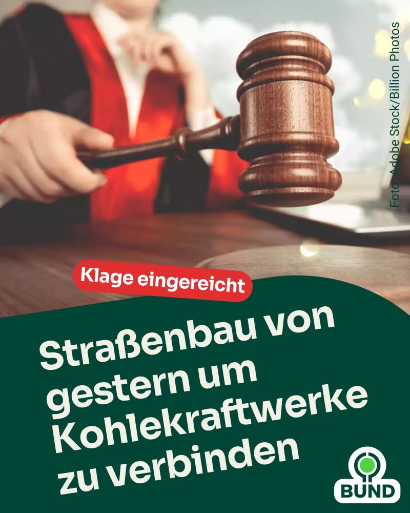 Ein Richter in schwarzer und roter Robe schlägt mit einem Holzhammer auf den Tisch. Im Vordergrund steht der Text „Klage eingereicht – Straßenbau von gestern um Kohlekraftwerke zu verbinden“. Unten rechts ist das Logo des Umweltverbands BUND zu sehen.