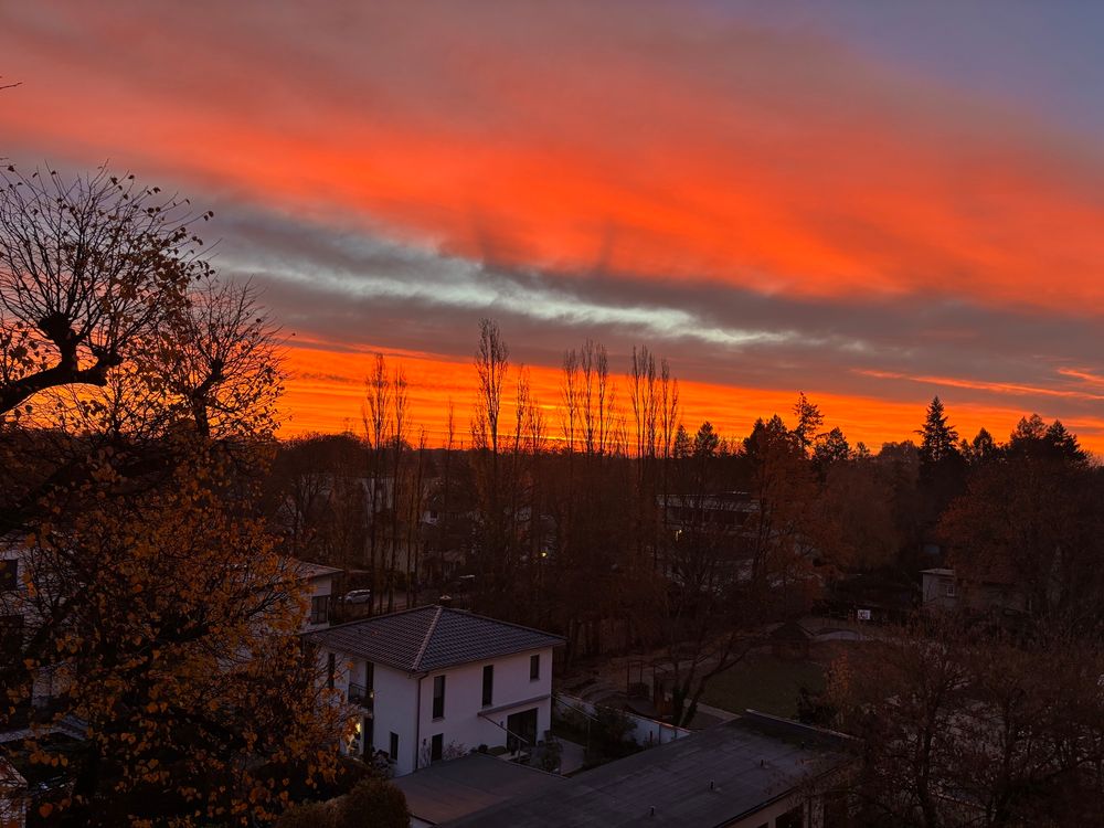 Knallroter Sonnenaufgang, im Vordergrund Silhouetten von Bäumen zu sehen. 