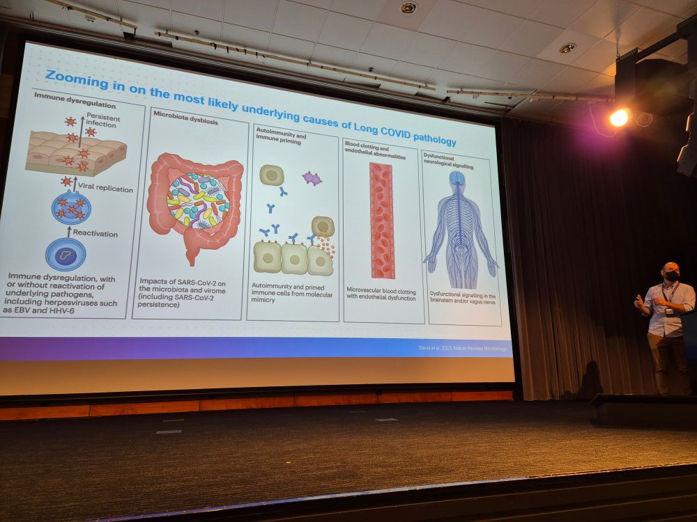 Slide with pictures and text: "Zooming in on the most likely underlying causes of Long COVID pathology

Immune dysregulation

Persistent infection


Microbiota dysbiosis

Autoimmunity and immune priming

Mood clotting sed endothelial abnormalities

Dysfunctioncal neurological signalling

Viral replication

Reactivation

Immune dysregulation, with or without reactivation of underlying pathogens, including herpesviruses such as EBV and HHV-6

Impacts of SARS-CoV-2 on the microbiota and virome (including SARS-CoV-2 persistence)

Autoimmunity and primed Immune cells from molecular mimicry

Microvascular blood clotting with endothelial dysfunction

Dysfunctional signalling in the brainstem and/or vegus nen
