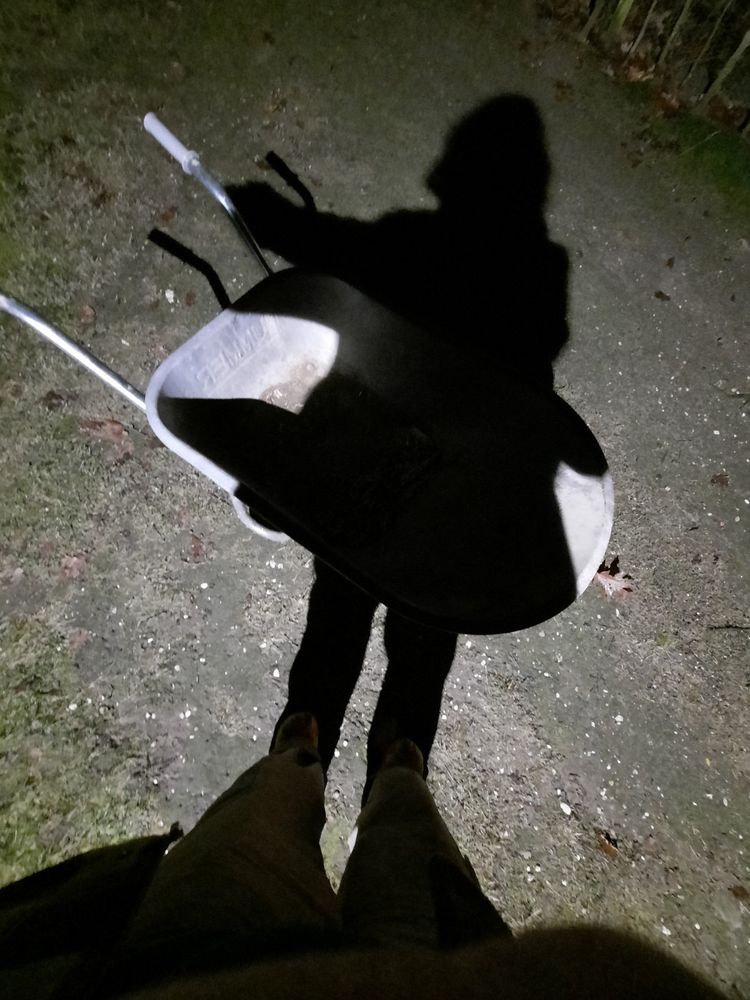 ArtBBQ Studio Playlist 2024 #39: Ellen Rodenberg