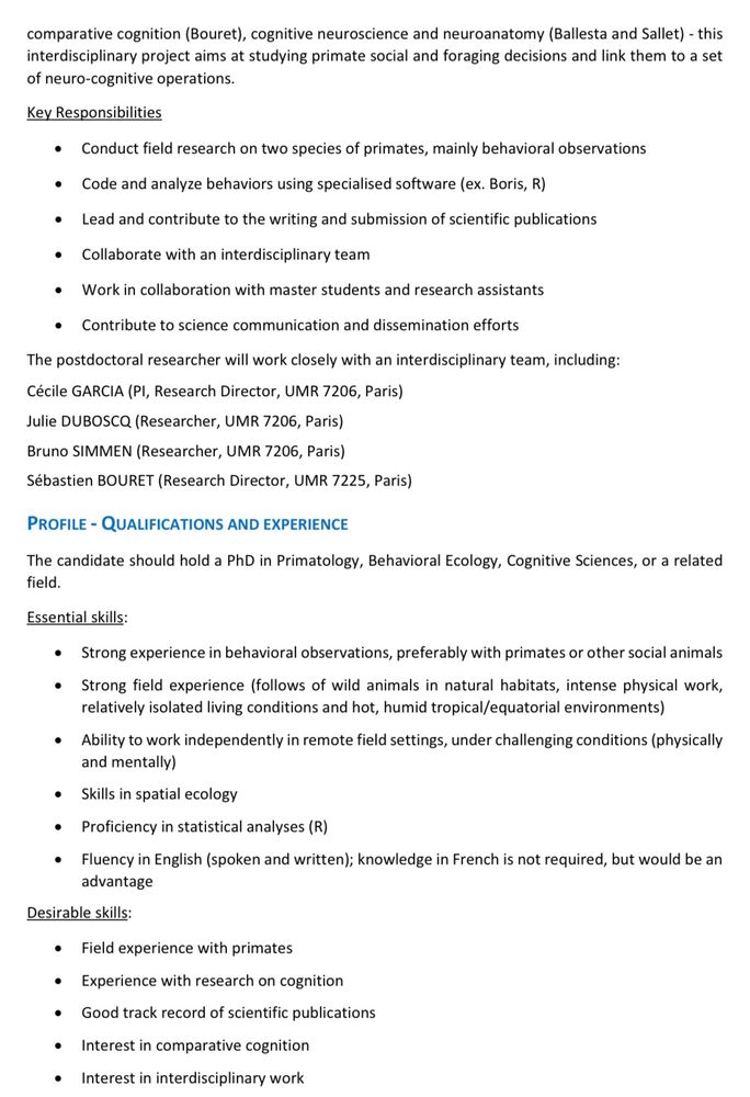 Description of the Postdoc position 