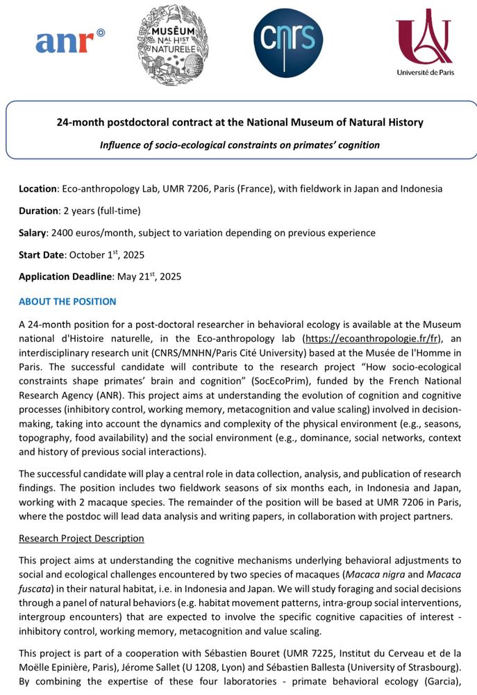 Description of the Postdoc position 