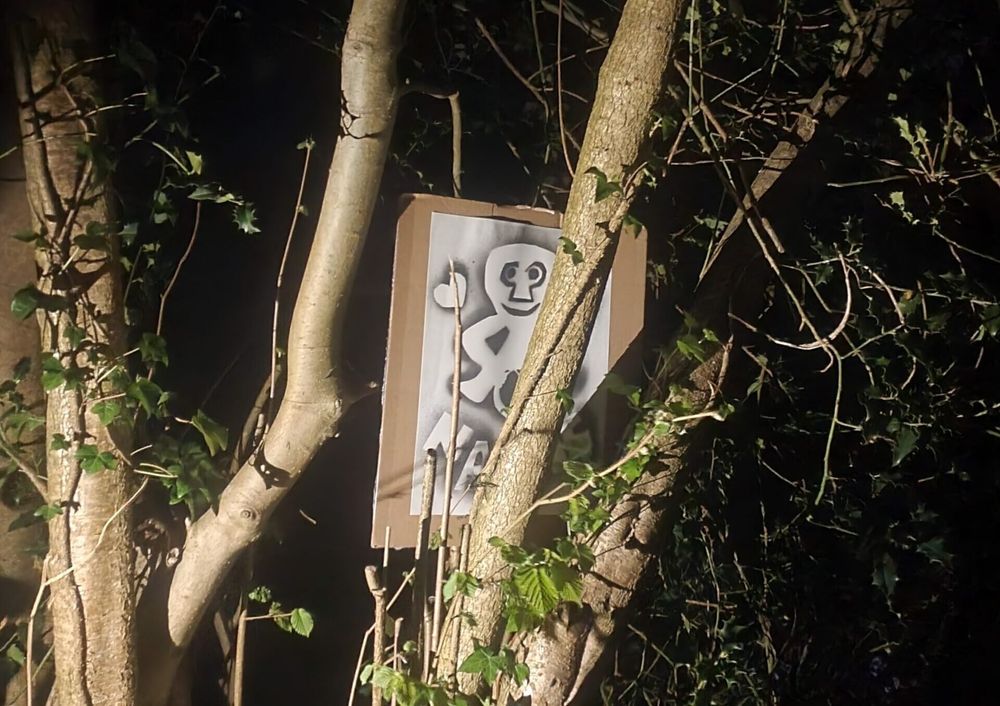 A print of a Sheela na Gig in the branches of a tree at night.