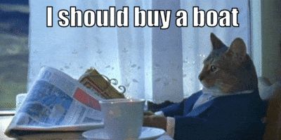 cat reading a paper with a caption that says I should buy a boat
