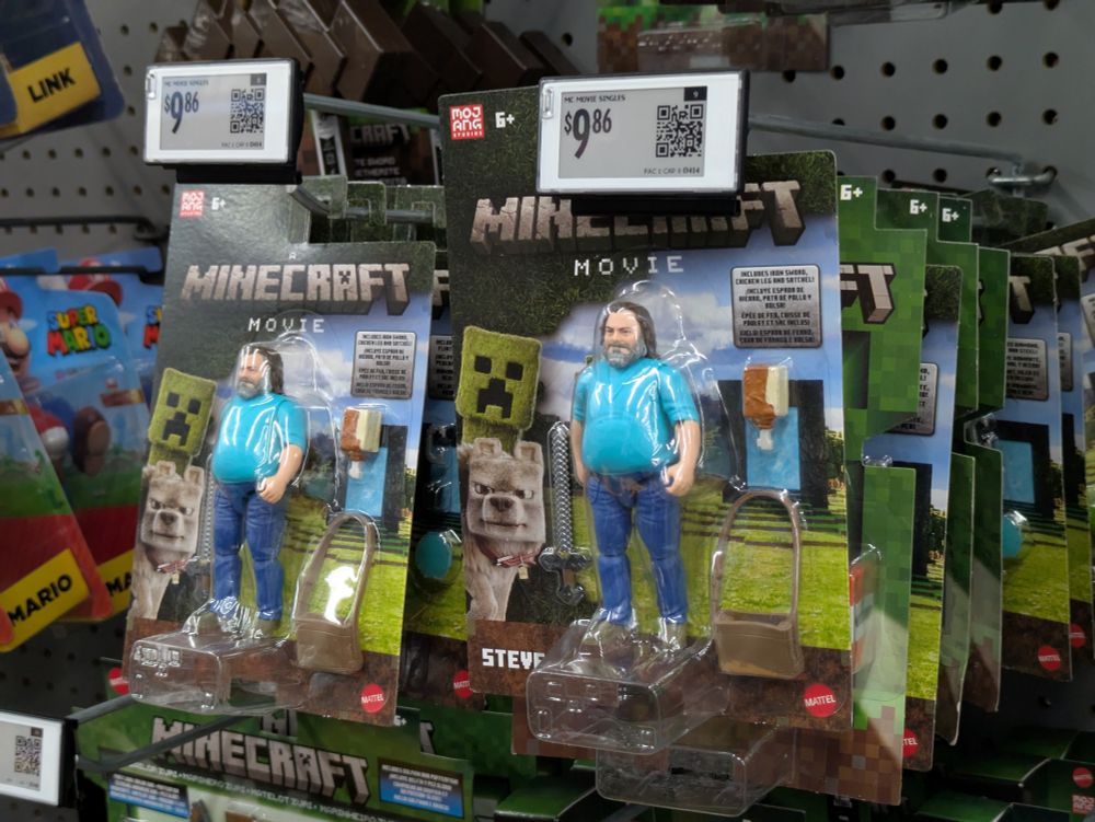 Minecraft Steve action figure (it's just Jack Black in a t-shirt and jeans)