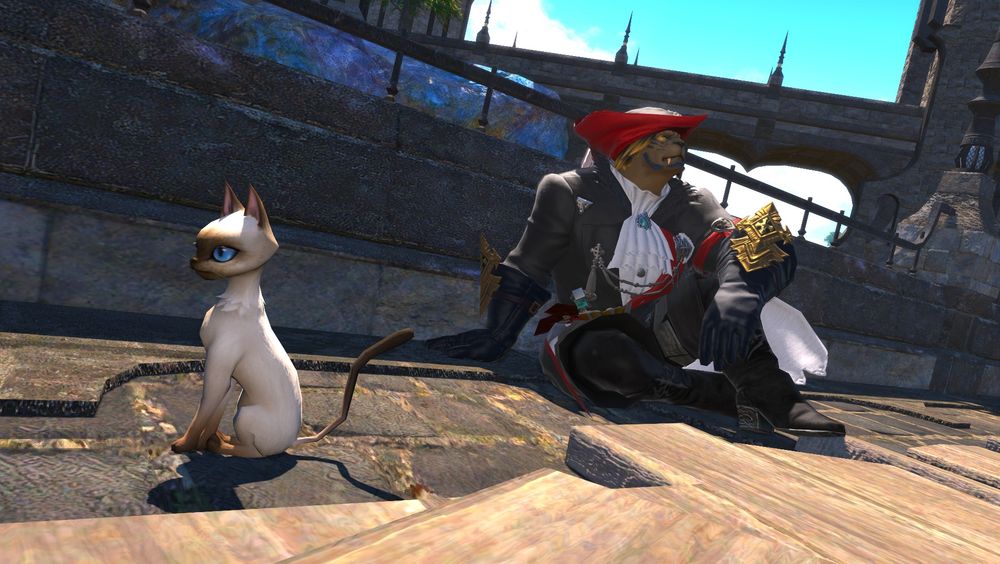 Valiant, a brown hrothgar with black hair is sitting on a bridge that is still being built. He is dressed in a white shirt with a white cravat, with a black coat and black gloves on top. Meanwhile his legs are covered with black trousers and boots. All of it has red highlights on the edges. His hat is also red and reminiscent of a sailor hat.

Beside him and closer to the camera is a nagging cat, a siamese like cat from Nagxia. They seems content to be near valiant.

