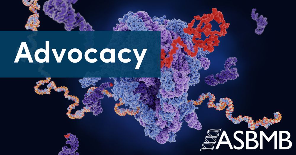A 3D illustration of a ribosome translating messenger RNA into a polypeptide chain with text that reads advocacy.