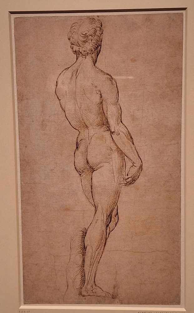 One week ago, Michelangelo's David, drawn by Raphael. In the Royal Academy exhibition about them and Leonardo. 