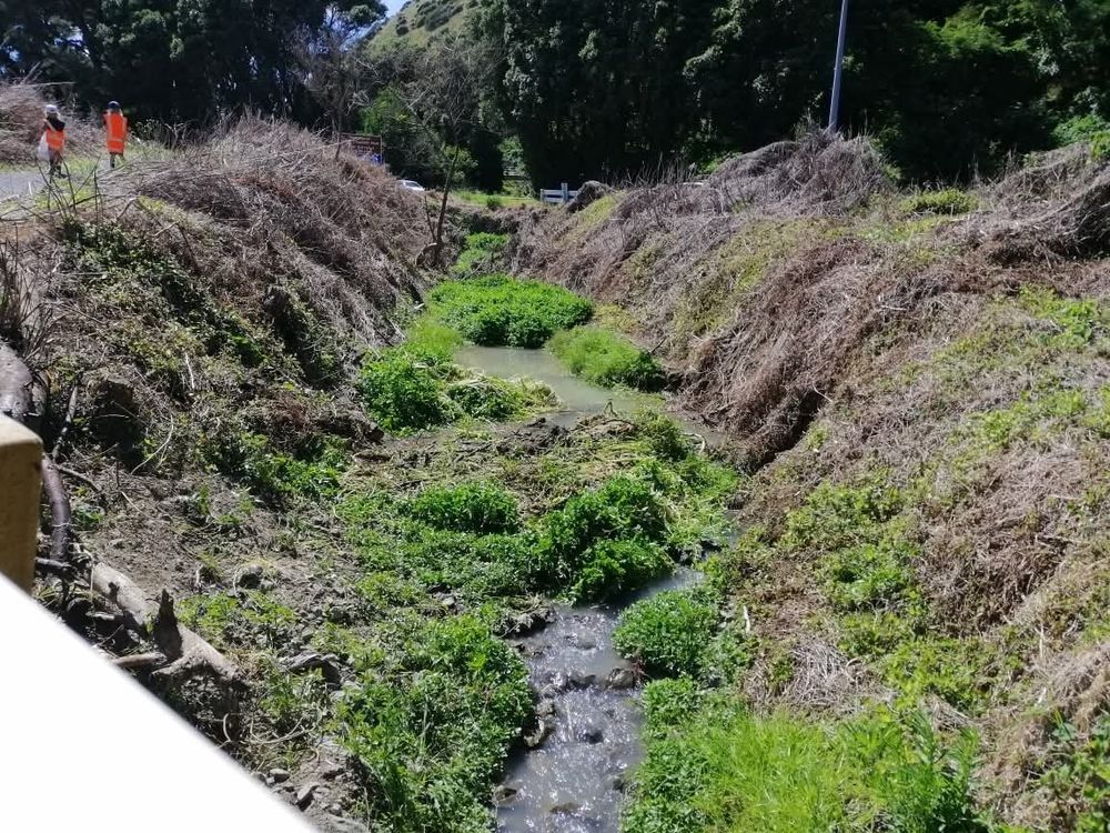 A stream with steep banks. Most of the vegetation has been sprayed and is brown and dead. 