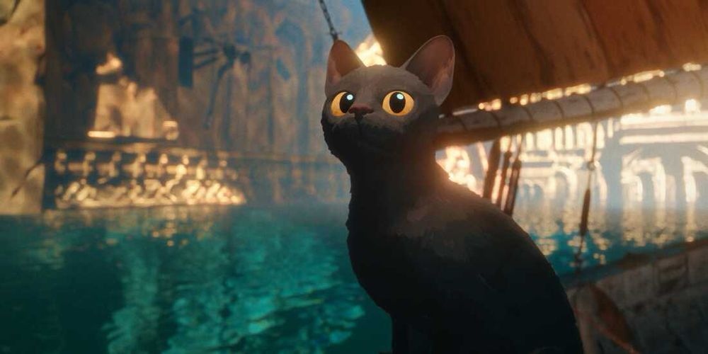 the black cat from flow, sitting on a boat, the boat is on a river with clear unpolluted water next to some classical marble building 