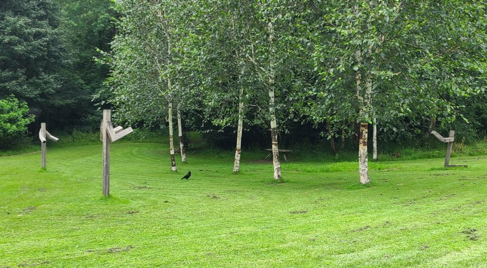 Wide view of "I remember" public Covid-19 memorial in Pollok Park, Glasgow showing three anthropomorphic tree support posts inscribed "I remember" around a group of young trees
