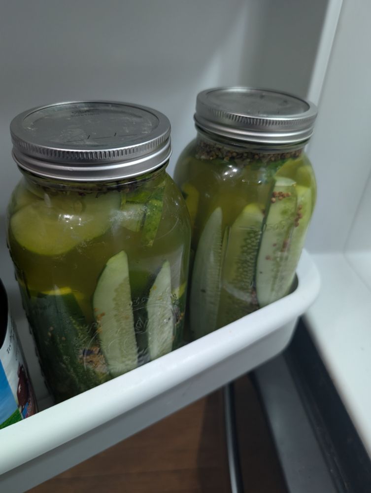 Homemade pickles in the fridge 