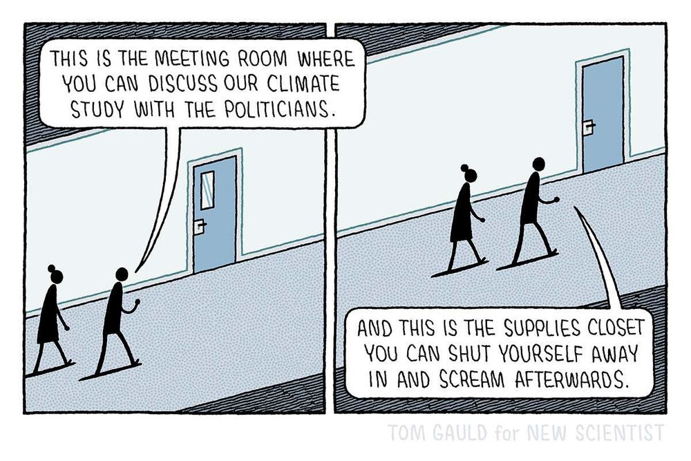 Two image cartoon by Tom Gauld
First image: person giving a tour of office, saying: "This is the room where you can discuss our climate study with the politicians"
Second image: "and this is the supplies closet, you can shut yourself away in and scream afterwards"