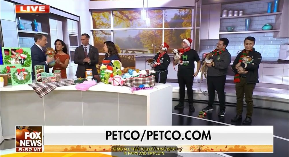 Hosts of Fox and friends talking to a vet from petco with four dogs being held in background 