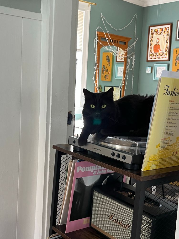 A fluffy black cat draped on a record player. Yes, I know she shouldn’t be there. But I’m her defense it was Ella Fitzgerald singing Cole Porter. It was a great record and she looked very cute. 