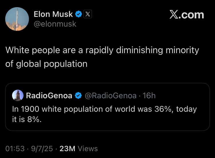 Tweet from Elon Musk: White people are a rapidly diminishing minority of global population 