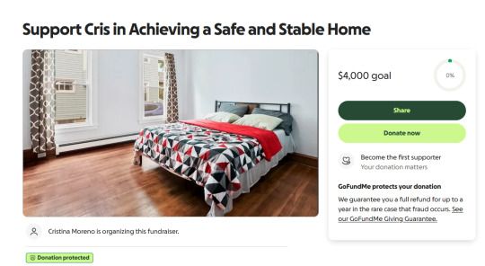 screenshot of gofund me