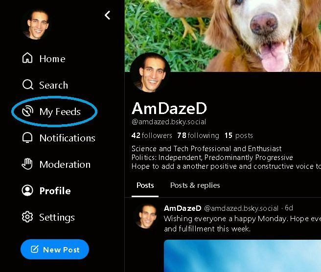 Bluesky user page showing the My Feeds Button highlighted