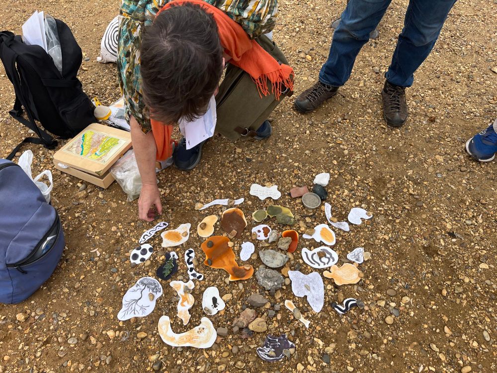 Looking at swatches of colours made from earths and oak galls at the end of the walk