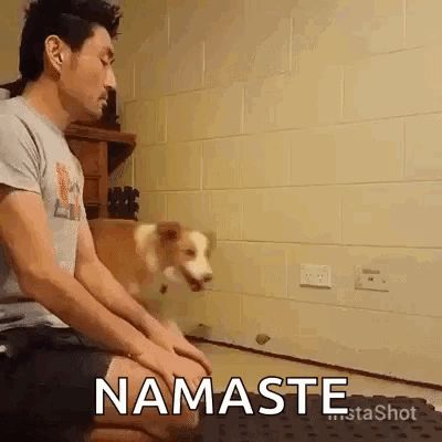 a man is kneeling down in front of a dog and saying namaste while the dog looks on .