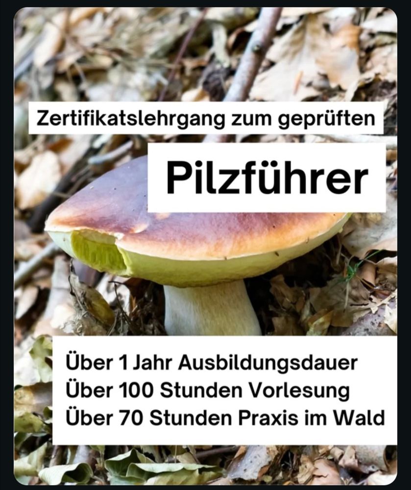 Werbebild zur Ausbildung zum geprüften Pilzführer. 