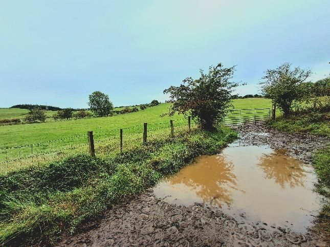 Awesome view of a muddy puddle in the Scottish Borders 