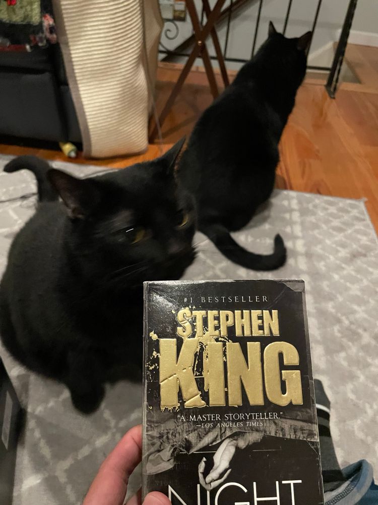 Black cats and Stephen King’s book Night Shift