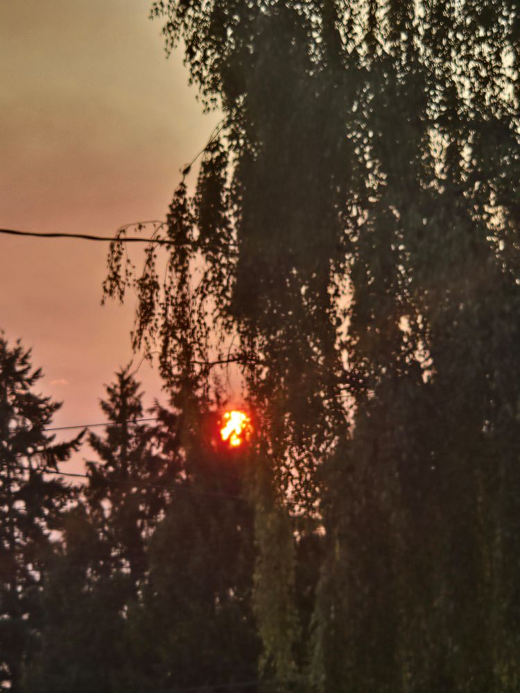 the red sun through the smoke