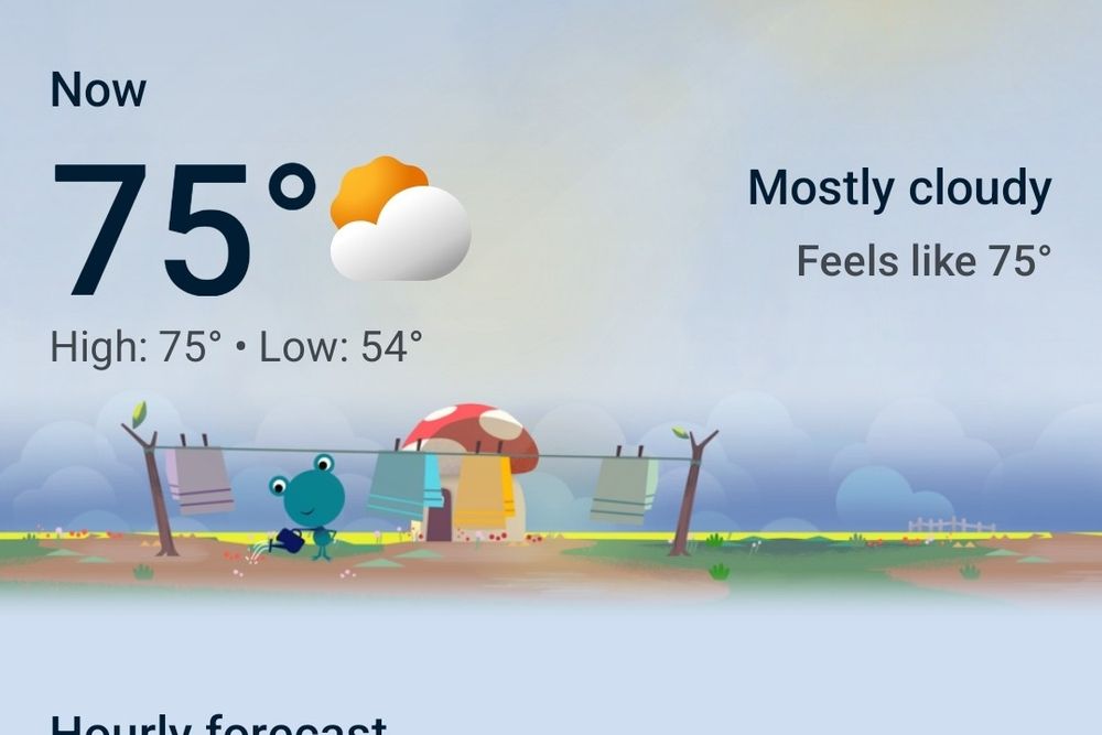 weather frog he is doing laundry in the muggy clouds despite that it's going to rain later