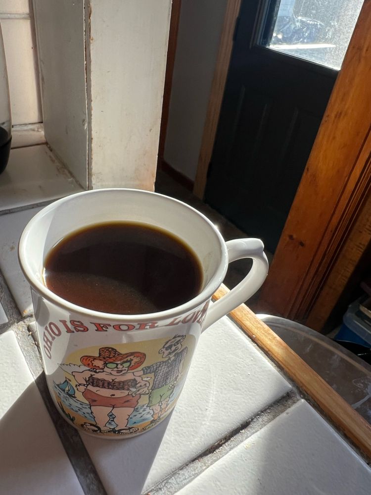 An image of a coffee cup on a countertop bathed in sunlight