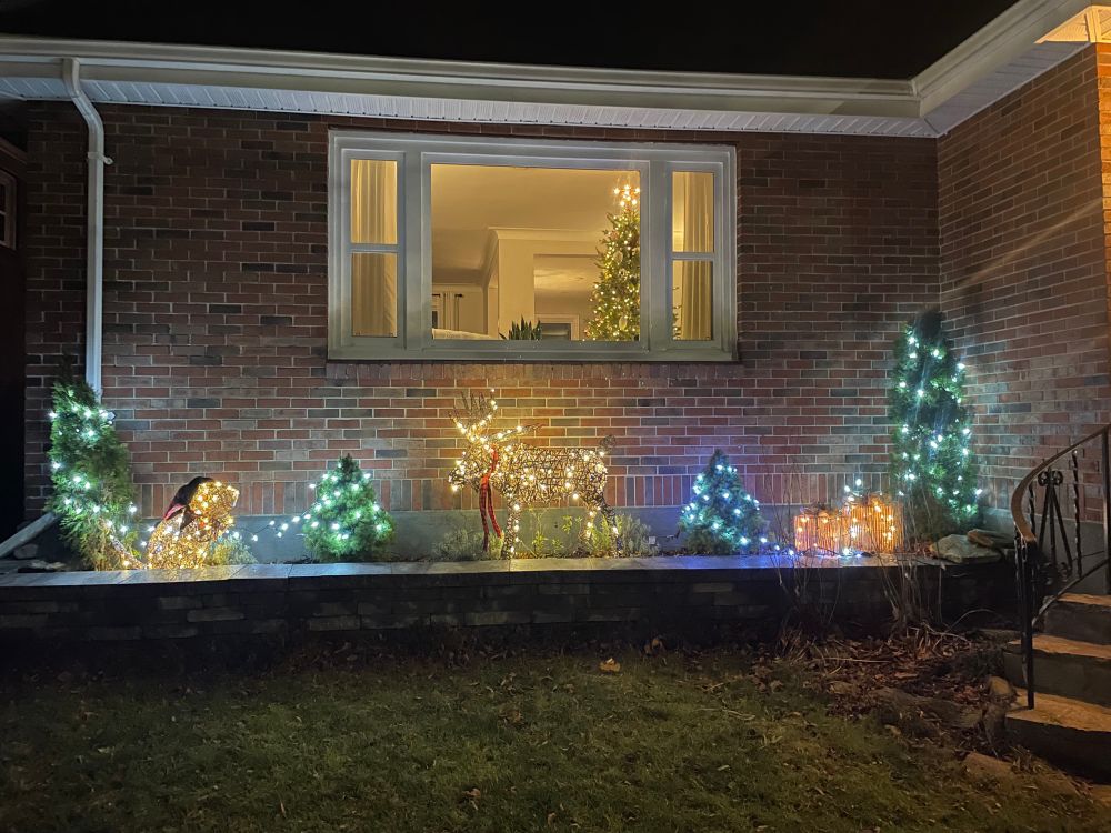 Flower bed planter outside living room window with lit evergreen trees as well as a “wicker” beaver in a Christmas hat, a moose in a red scarf, and 3 wicker presents. Decorated tree can be seen through the window. 