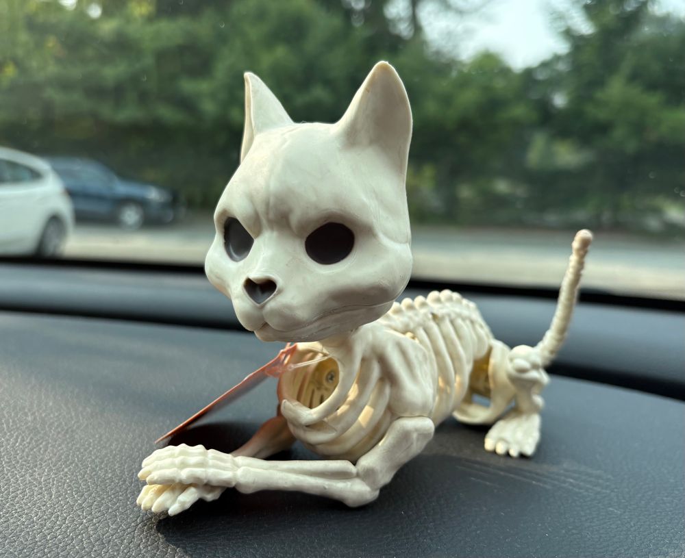 A tiny plastic skeleton kitty with a heart shaped nose lays on the dash of a car. Her tiny paws are politely crossed and she appears to be smiling. Through the windshield, you can see houses, cars, and trees. 