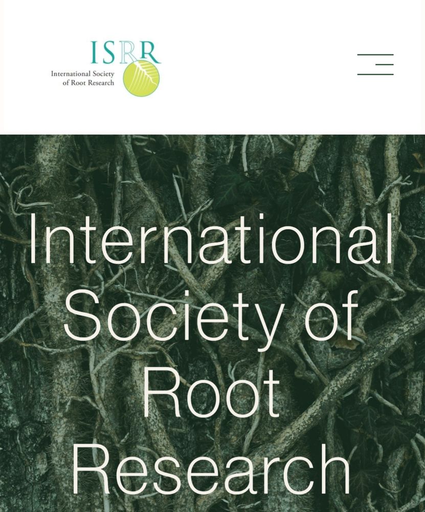 Words international society of root research on a dark rooty background with light heading and logi